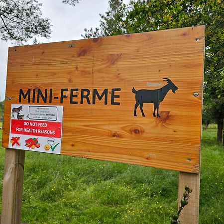 Mobil-Home 6 Personne - Tohapi Coeur De Vendee La Boissiere-de-Montaigu Buitenkant foto